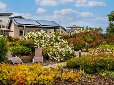 Holiday house Im Käulchen - Outdoor photo 7