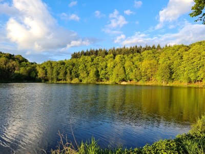 Holiday house Im Käulchen - Environment photo 37