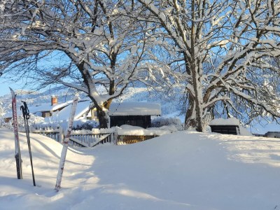 Holiday apartment Wohnung 1 - Outdoor photo 4