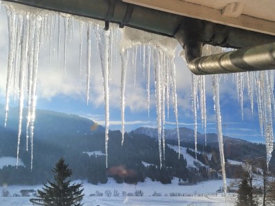 Holiday apartment Wohnung 1 - Outdoor photo 6