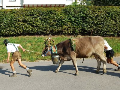 Holiday apartment Wohnung 1 - Environment photo 31