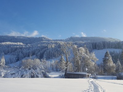 Holiday apartment Wohnung 1 - Environment photo 39