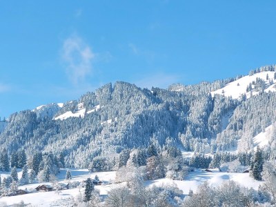 Holiday apartment Wohnung 1 - Environment photo 40