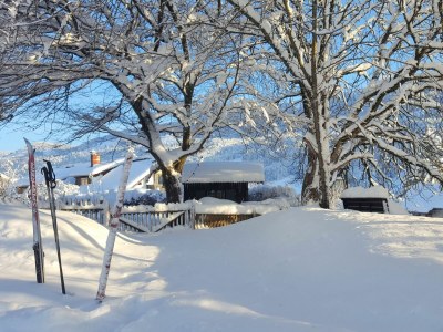 Holiday apartment Wohnung 1 - Outdoor photo 4