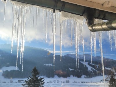 Holiday apartment Wohnung 1 - Outdoor photo 6