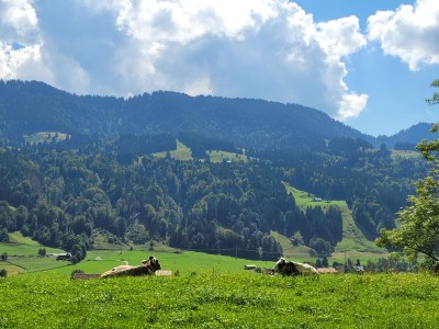 Holiday apartment Wohnung 1 - Environment photo 29