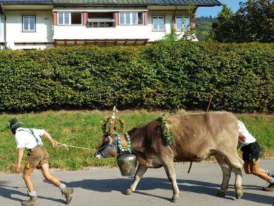 Holiday apartment Wohnung 1 - Environment photo 30