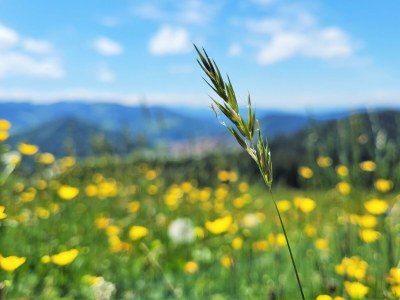 Holiday apartment Wohnung 1 - Environment photo 33