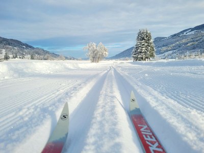 Holiday apartment Wohnung 1 - Environment photo 36