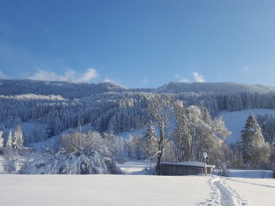 Holiday apartment Wohnung 1 - Environment photo 38