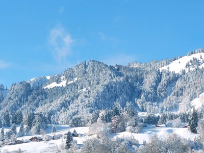 Holiday apartment Wohnung 1 - Environment photo 39