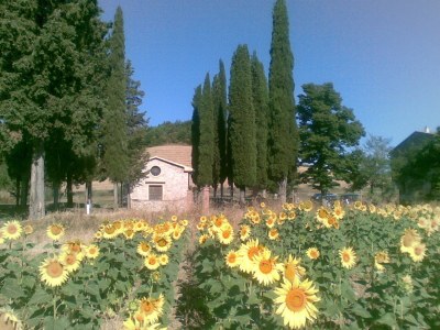 Farmhouse Farm House Due Ponti - Environment photo 15