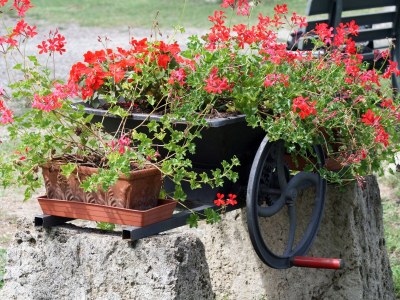Farmhouse Farm House Due Ponti - Environment photo 18