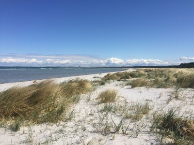 Apartment Aalkönig - Environment photo 15