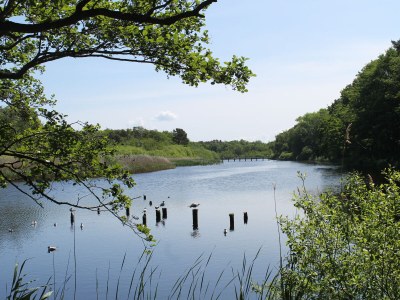 Apartment Aalkönig - Environment photo 20