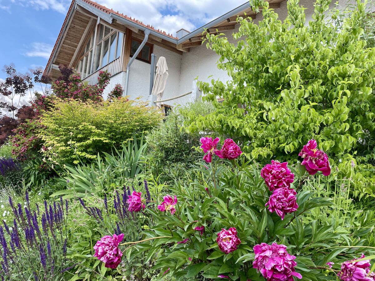 Holiday apartment Chiemsee Living - Outdoor photo 5