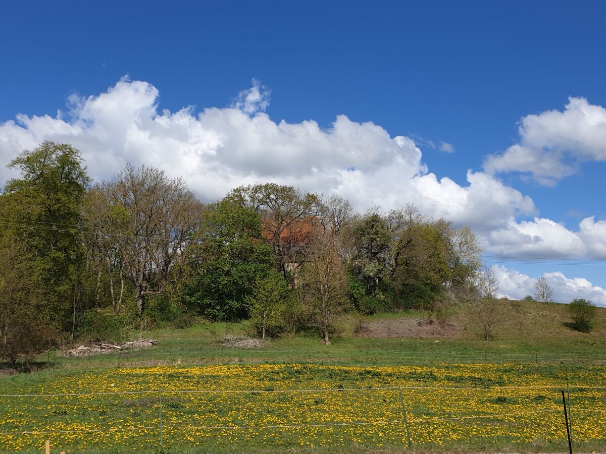 Holiday house Ecki's Ferienhaus "KOMM An de BÄK" - Outdoor photo 2