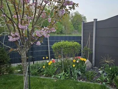 Holiday house Ecki's Ferienhaus "KOMM An de BÄK" in Alt Schönau - Holiday house