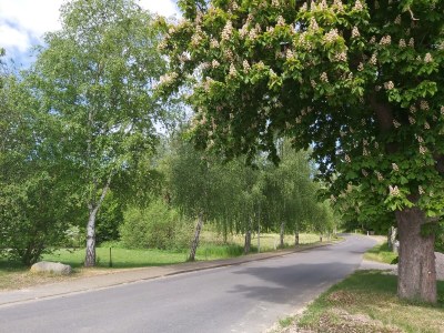 Holiday house Ecki's Ferienhaus "KOMM An de BÄK" - Outdoor photo 9