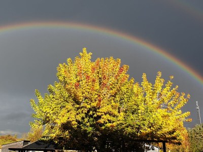 Holiday house Ecki's Ferienhaus "KOMM An de BÄK" - Outdoor photo 16