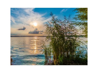 Holiday house Ecki's Ferienhaus "KOMM An de BÄK" - Environment photo 29