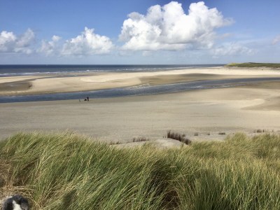 Holiday apartment TexelNest - Environment photo 31