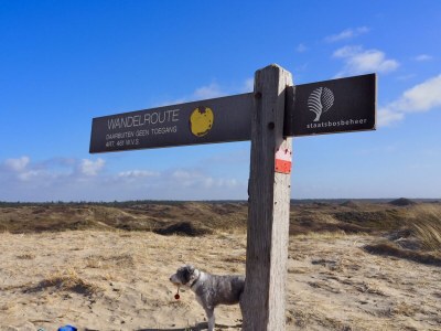 Holiday apartment TexelNest - Environment photo 37