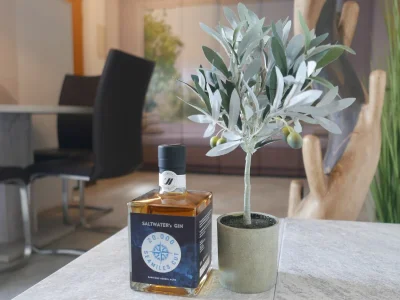 Holiday apartment Bodensee Fernweh Perle - Features photo 10