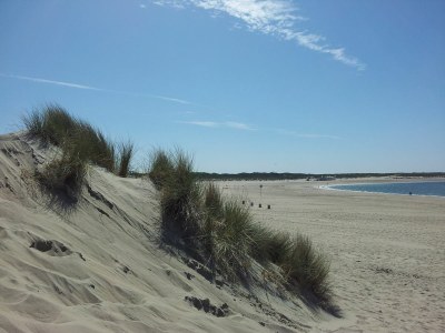 Holiday house Holiday home ZeeZeit [Herckenstein 77] - Environment photo 37