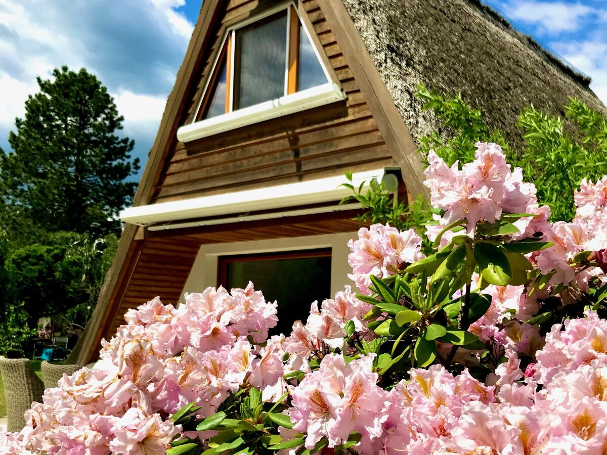 Holiday house Haunhorst 3 - Outdoor photo 2