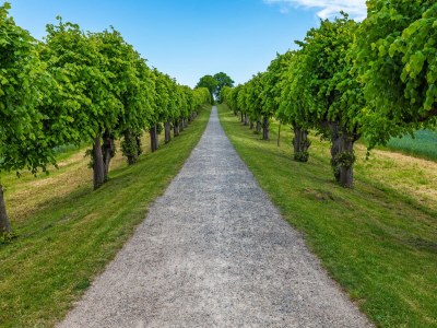 Apartment Charmante Ferienwohnung in Klütz - Environment photo 26