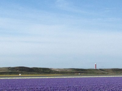 Villa Westenwind - Environment photo 32