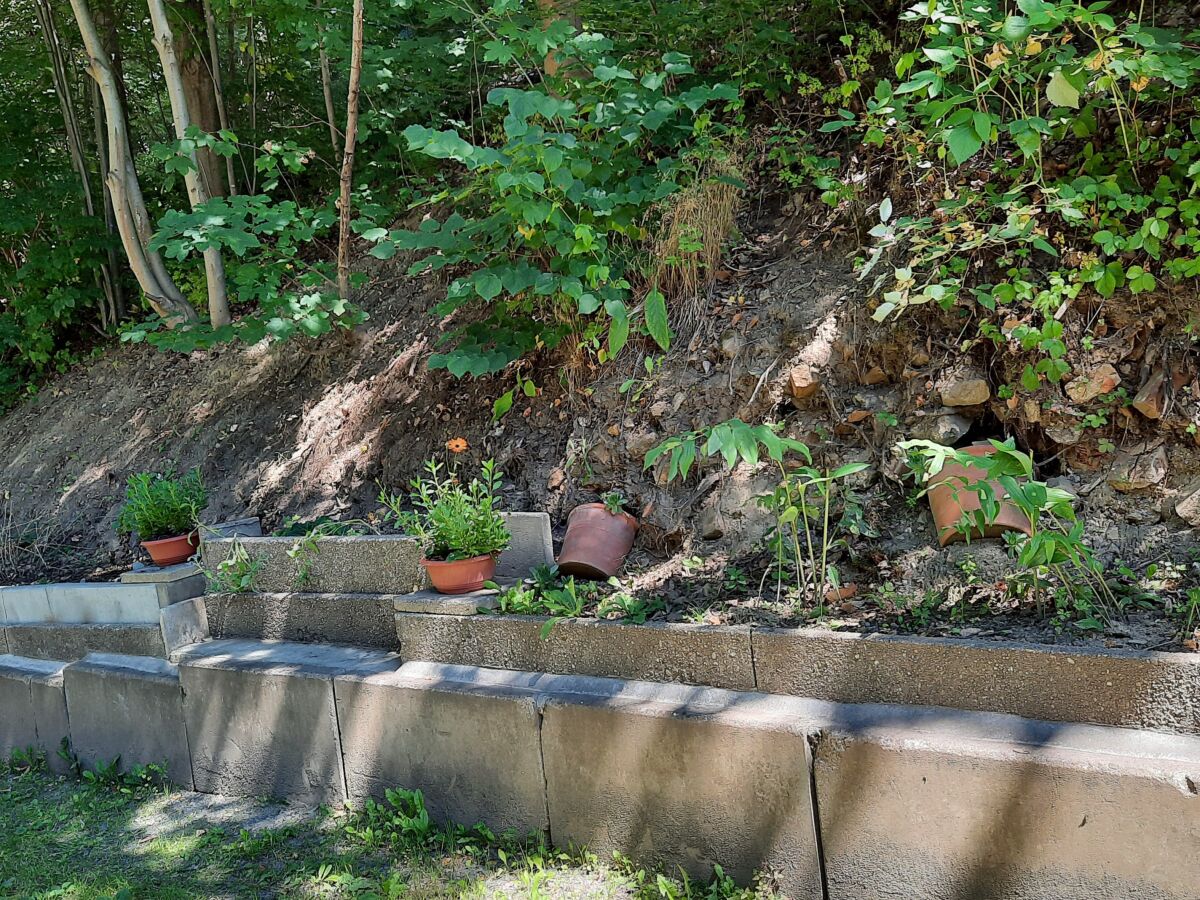 Holiday apartment "am Rande der Stadt" - Outdoor photo 4