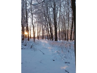 Holiday apartment "am Rande der Stadt" - Outdoor photo 7