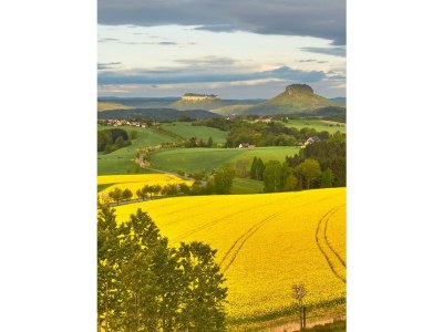 Holiday apartment "am Rande der Stadt" - Environment photo 30