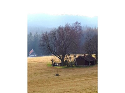 Holiday apartment "am Rande der Stadt" - Environment photo 36