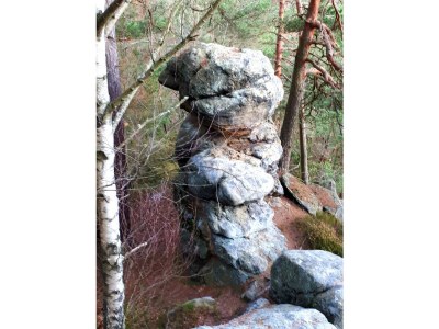 Holiday apartment "am Rande der Stadt" - Environment photo 38