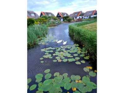 Holiday house Buitenplaats 120 - Environment photo 23