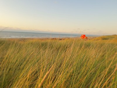 Holiday house Buitenplaats 120 - Environment photo 25