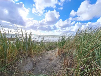 Holiday house Buitenplaats 120 - Environment photo 26