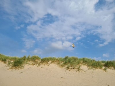 Holiday house Buitenplaats 120 - Environment photo 27