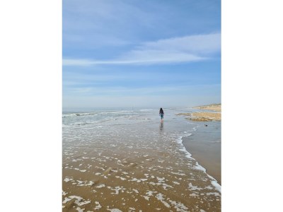 Holiday house Buitenplaats 120 - Environment photo 29