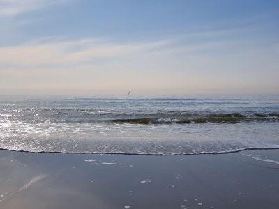 Holiday house Buitenplaats 120 - Environment photo 30