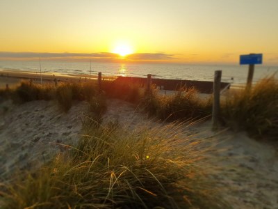 Holiday house Buitenplaats 120 - Environment photo 31