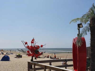 Holiday house Buitenplaats 120 - Environment photo 37