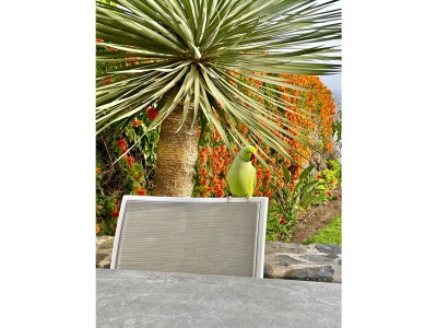 Holiday house Casa Monica - Outdoor photo 7