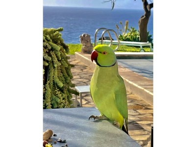 Holiday house Casa Monica - Outdoor photo 8