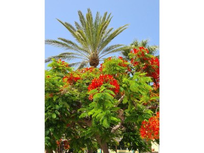 Holiday house Casa Monica - Environment photo 25