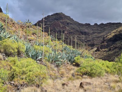 Holiday house Casa Monica - Environment photo 31