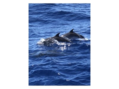 Holiday house Casa Monica - Environment photo 32